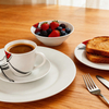 20/30pcs Harvit Contemporary European Style Porcelain Dinner Set for Restaurant Cafe Party Use