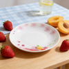 Popular Russia Market Eco-Friendly Disposable Flowers Opal Glassware Plates & Dishes for Party Use