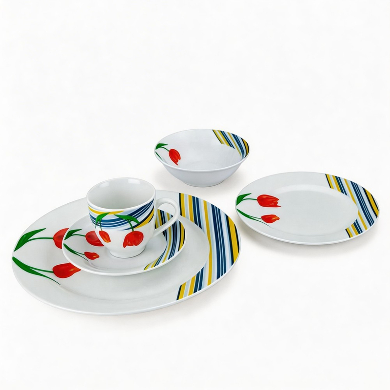 20/30pcs Harvit Contemporary European Style Porcelain Dinner Set for Restaurant Cafe Party Use