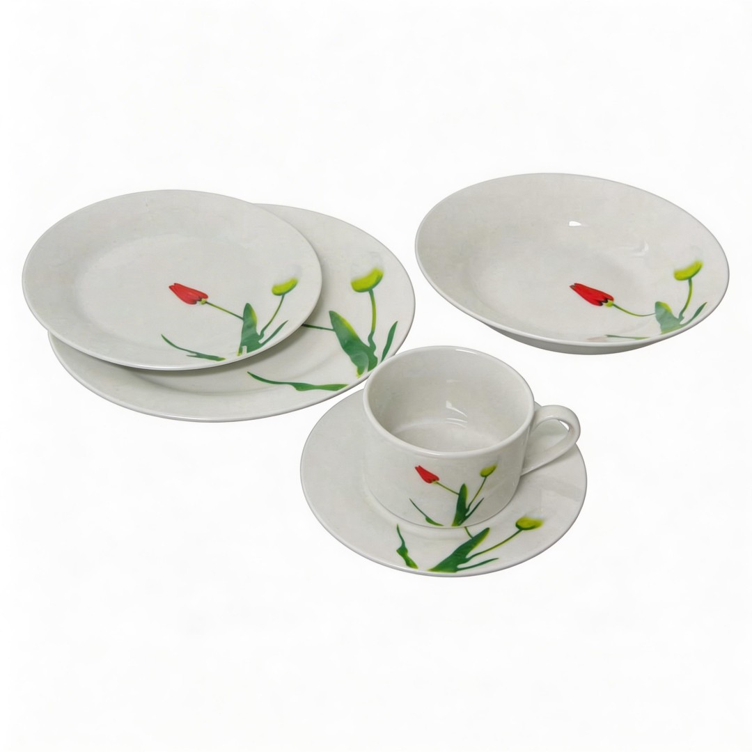 Harvit Italian Dinnerware 20-Piece Porcelain Tableware Set with Rose Flower Design for Party Use
