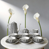15PC Black & White Stripe High Quality Ceramic Tea Set by HARVIT Eco-Friendly Contemporary Design